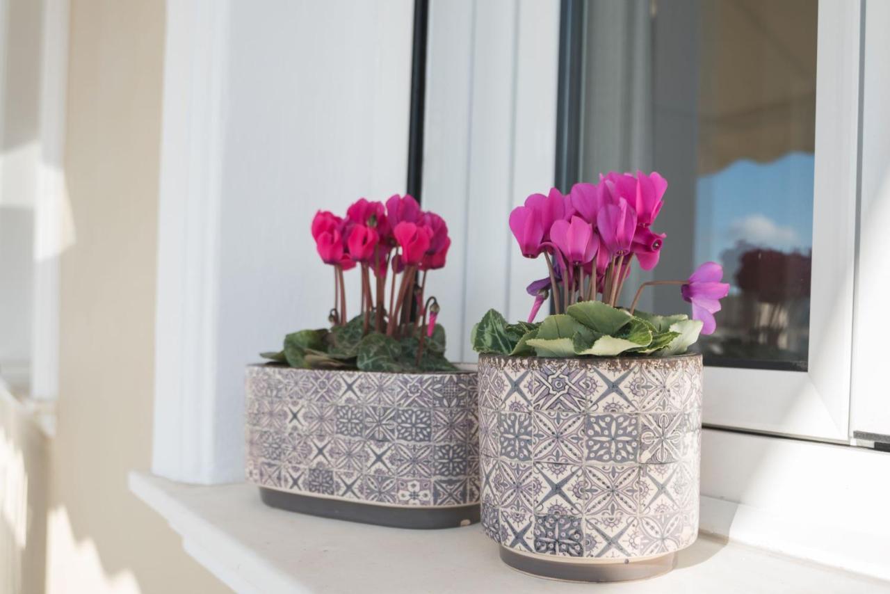 Athens Terrace 360° Apartment Екстериор снимка